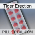 Tiger Erection 18